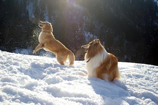 Fotos f. Homepage Galerie 043